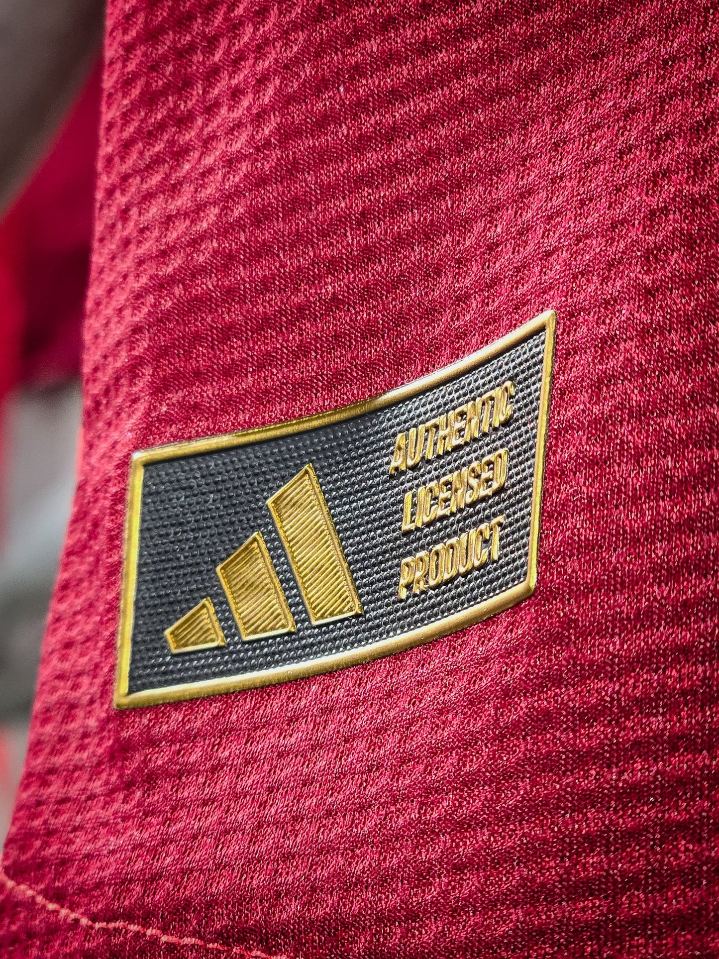 Maillot Domicile Manchester United 24/25